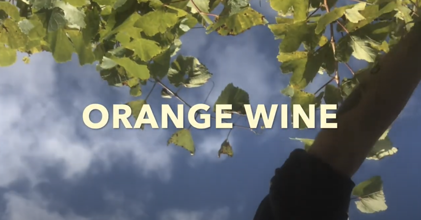 Learn how we make our Orange Wine – video